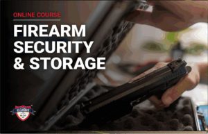 Firearm Security & Storage
